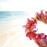 【ハワイの花のある暮らし】プルメリアの冬越し（秋から冬の管理）