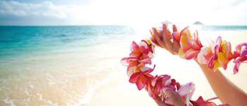 ハワイの花のある暮らし プルメリアの冬越し 秋から冬の管理 Hawaii Lifestyle Club